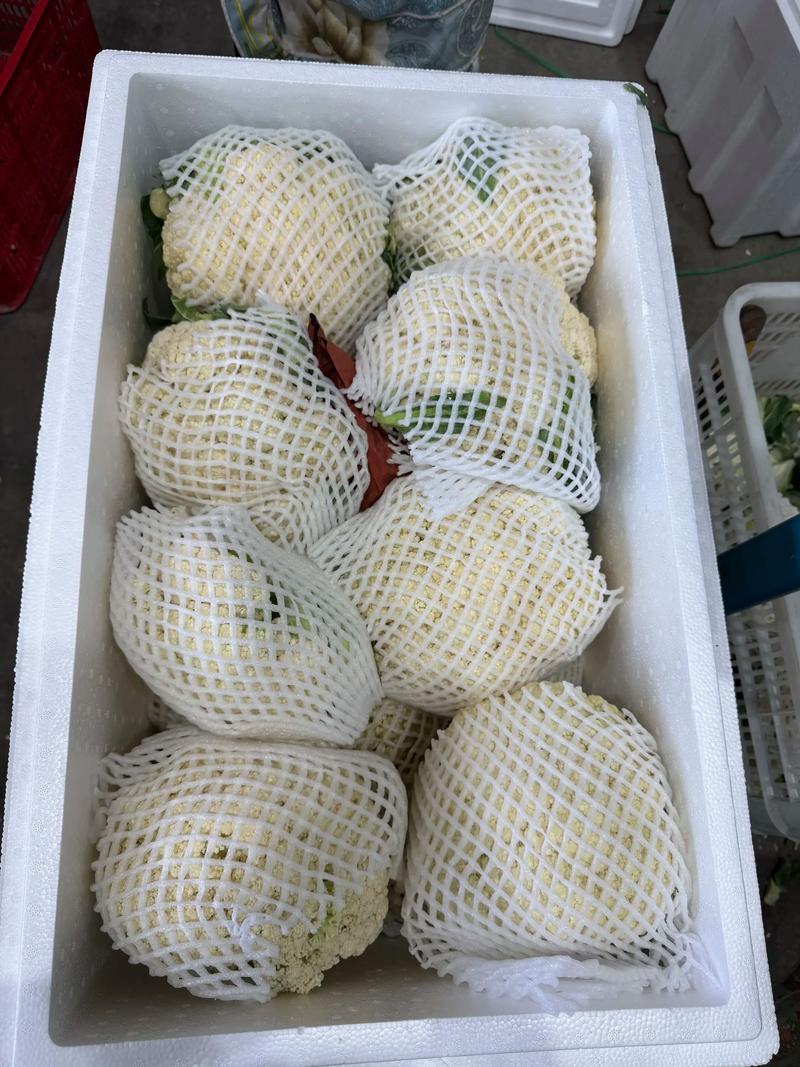 广佳盛贸易：行业变革的见证者